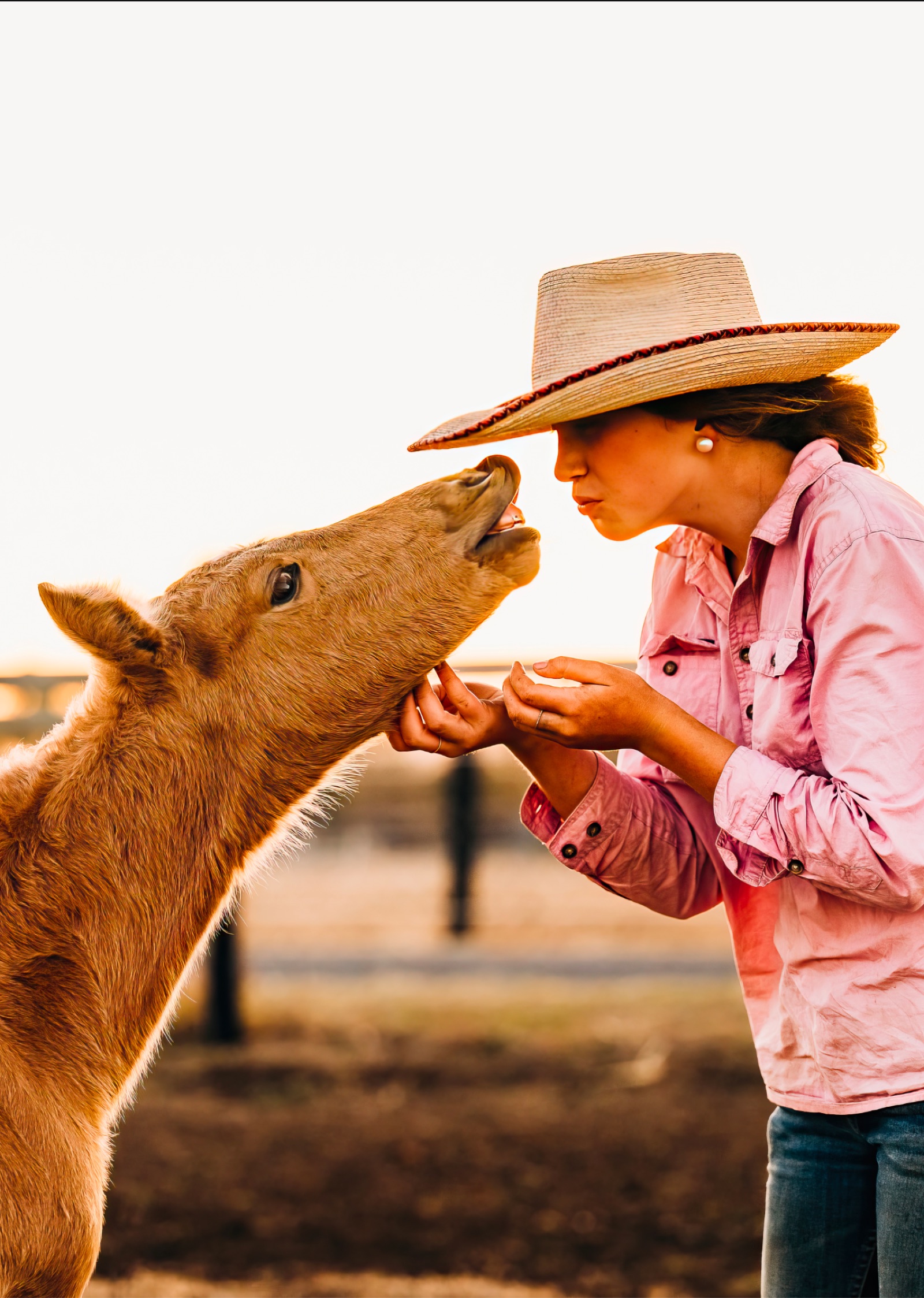 Read the Equestrian Hub Blog