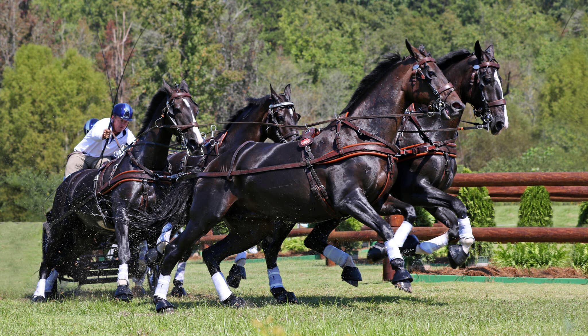 Equestrian Hub, Australia's home for equestrians
