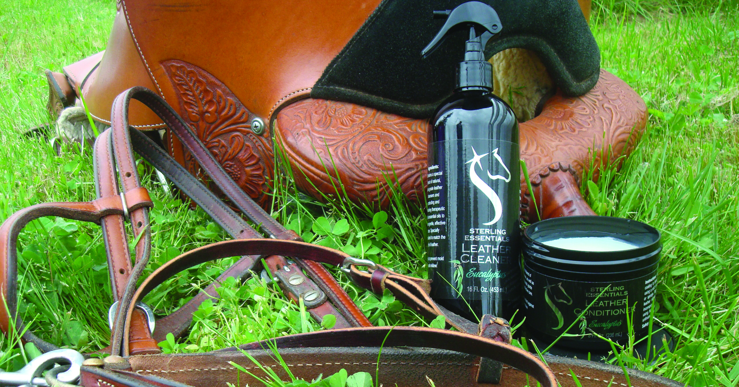 Eucalyptus Leather Conditioner - Sterling Essentials