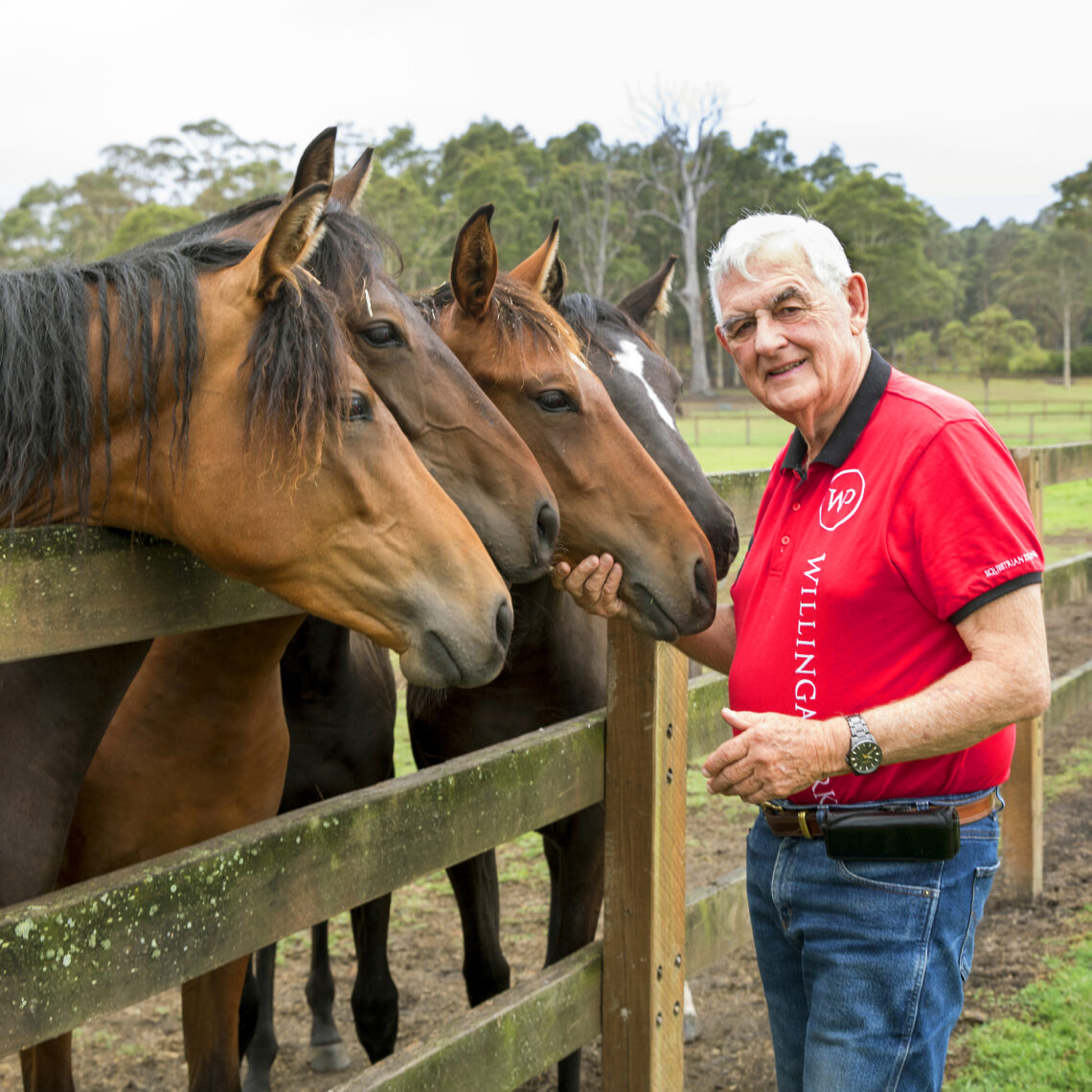 20 Questions with Terry Snow, Willinga Park - Equestrian Hub