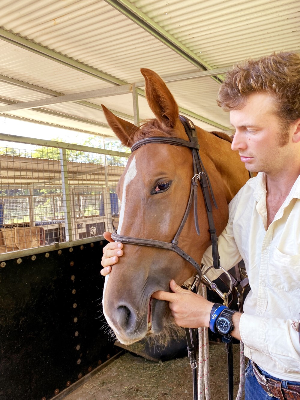 Brister's Brief: Tips For Bridling Your Horse - Equestrian Hub