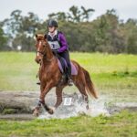 Karen Sultana and Revider achieved some great results at the SPPHA Bionic Woman ODE, their first ever competition under saddle (Image by Bronwyn Evans Photography).