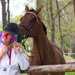 Kate Burns and Songbird at the Lockyer Equestrian Group's annual hack show. The proceeds from each event are donated to different organisations. Last year it was the turn of the Clown Doctors (Image by Ali Kuchel Pixali Photography).