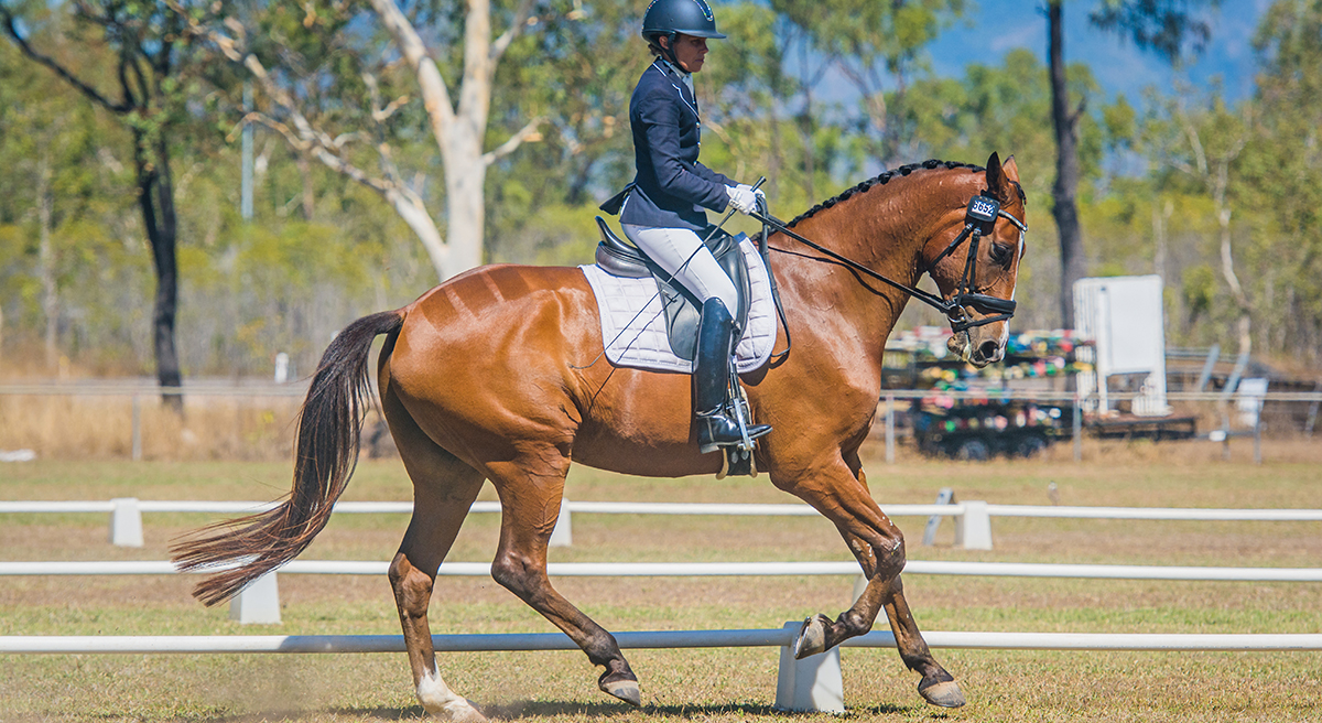 Townsville Dressage Club Equestrian Hub