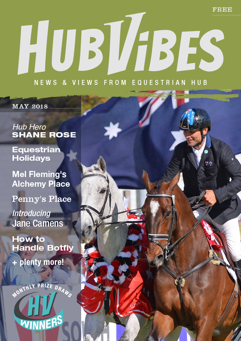 Horse Vibes online magazine.