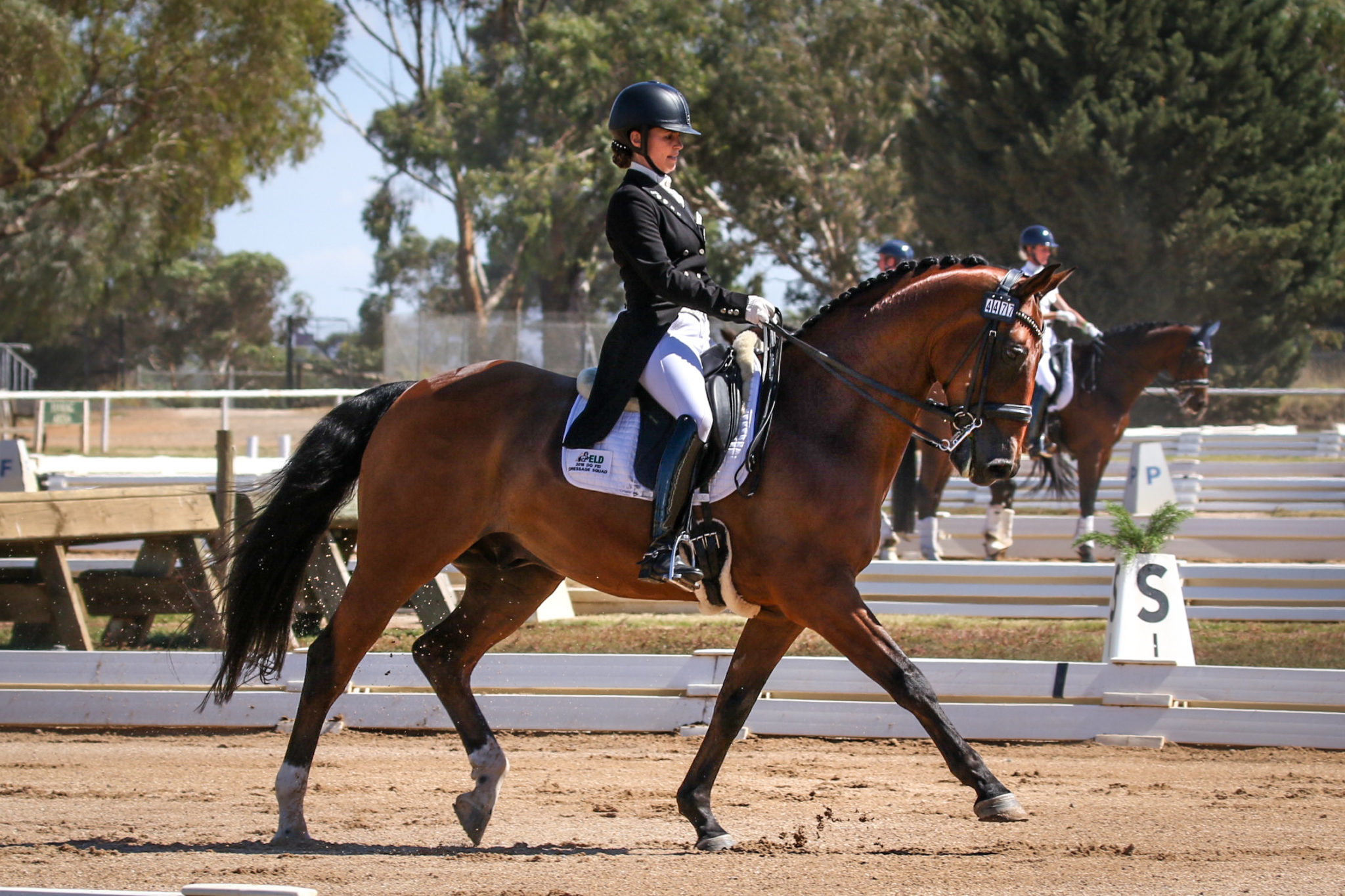 Page of Pix Dressage and Jumping with the Stars Equestrian Hub