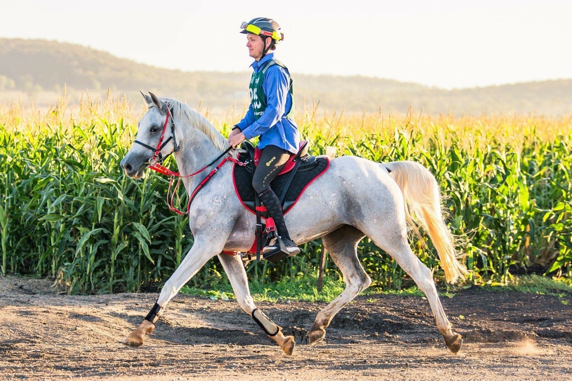 Endurance riding a test of strength for horse and rider - Equestrian Hub
