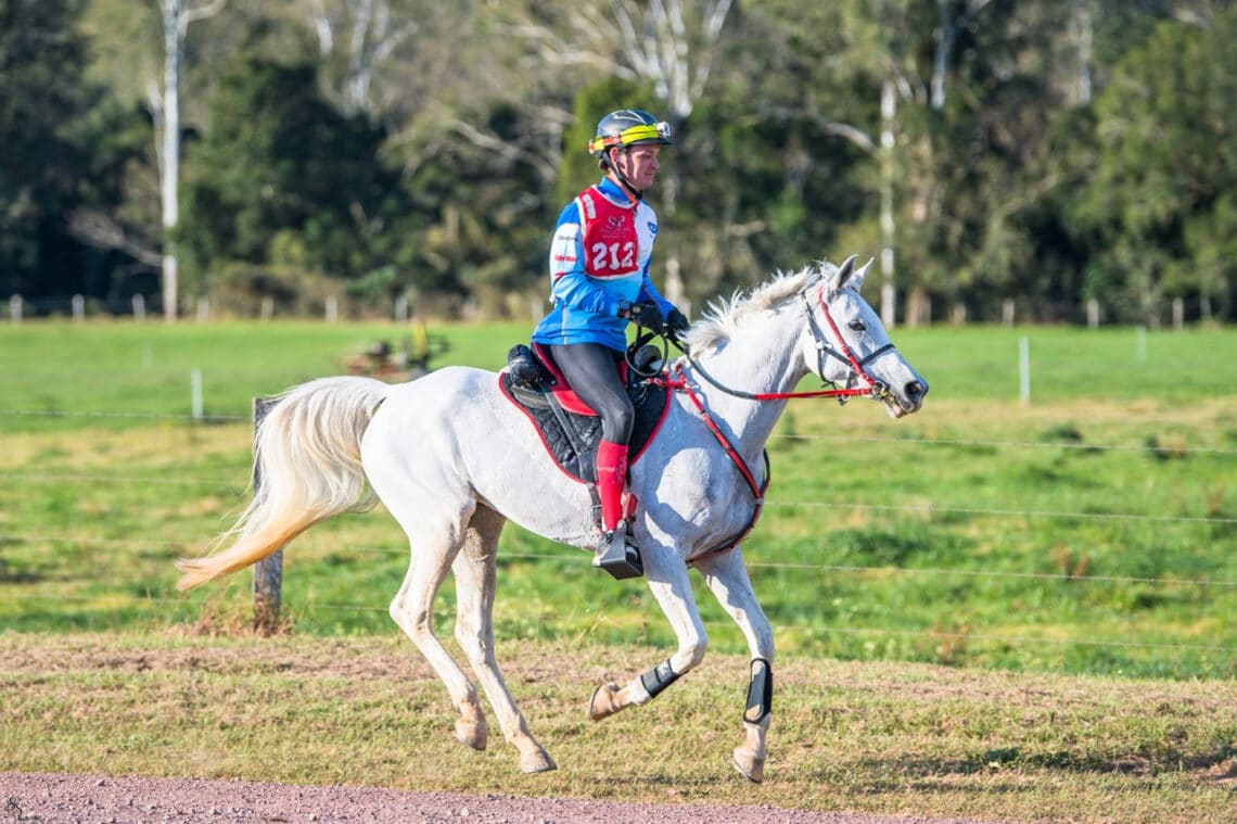 Training for Endurance Equestrian Hub