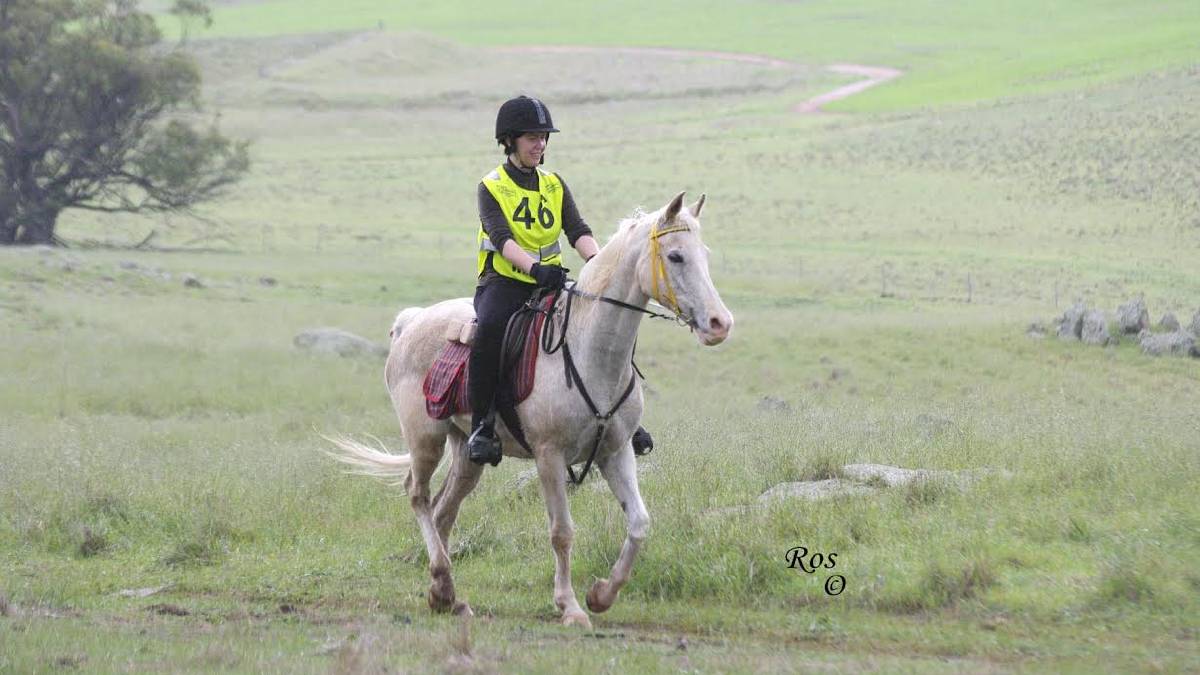 Endurance riding a test of strength for horse and rider - Equestrian Hub