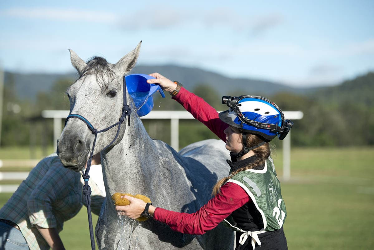 Endurance riding a test of strength for horse and rider - Equestrian Hub