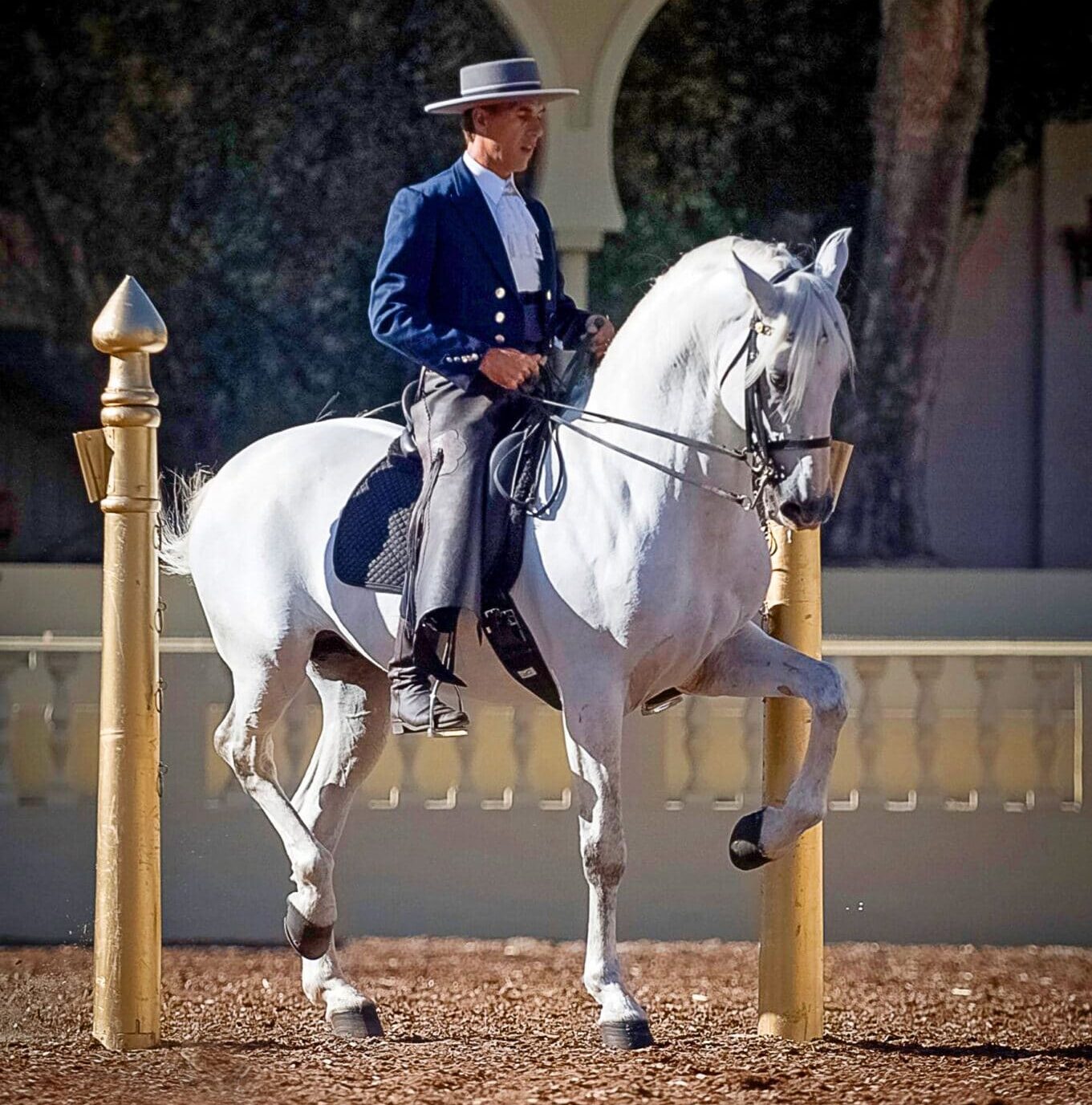 Training Tip The Art of Patience Teaching Laterals to