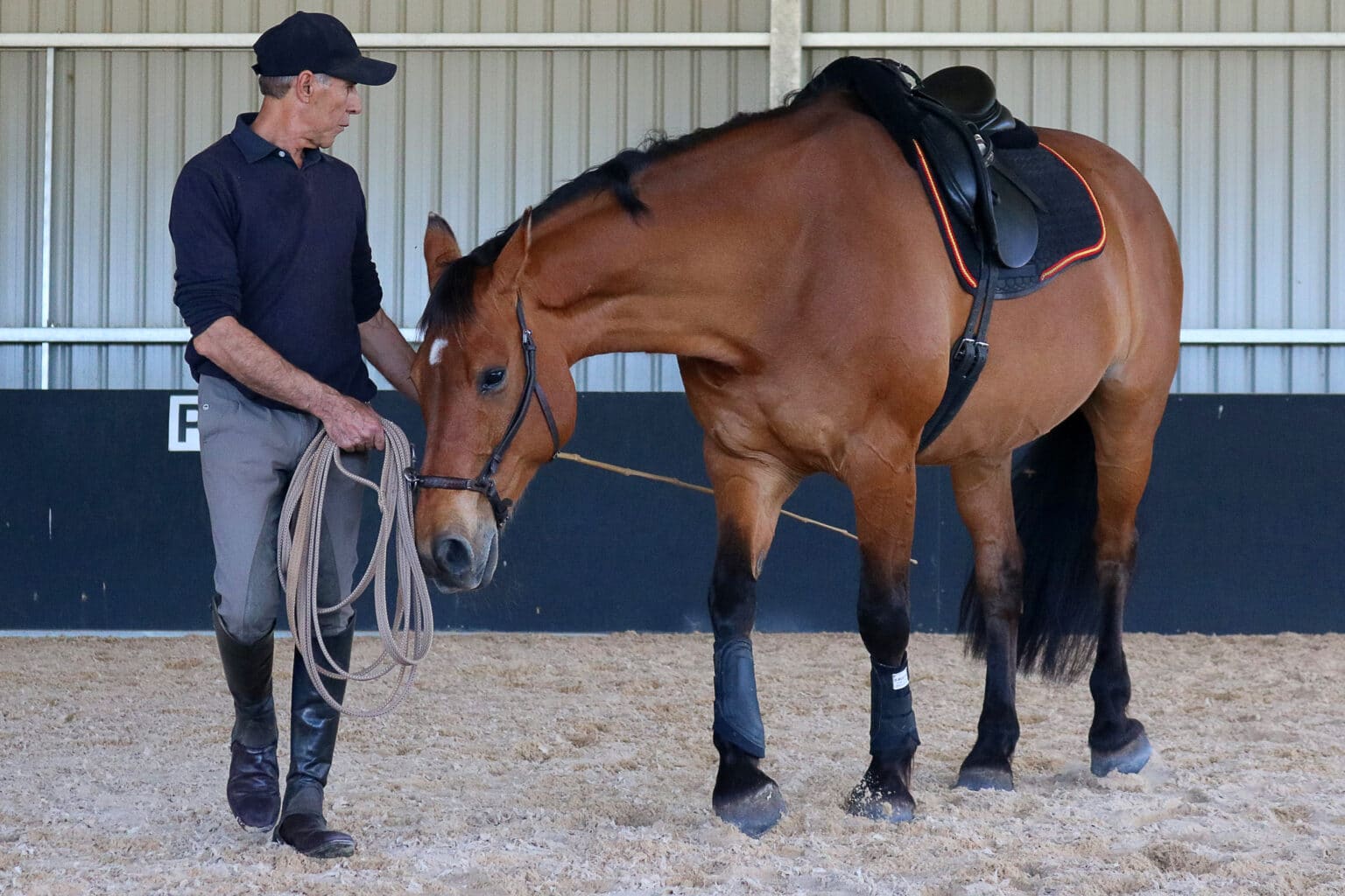 Training Tip The Art of Patience Teaching Laterals to