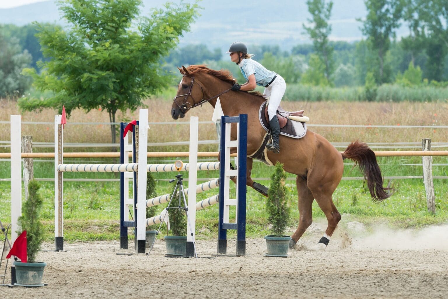 Showjumping Terminology - Equestrian Hub