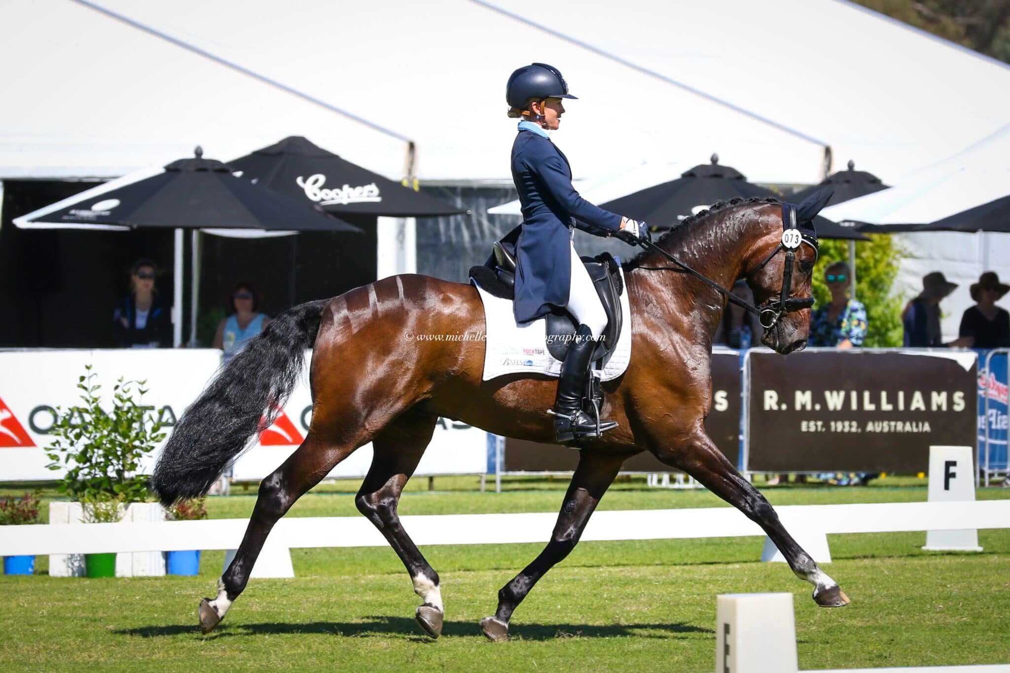 Keeping it real with Amanda Ross Equestrian Hub