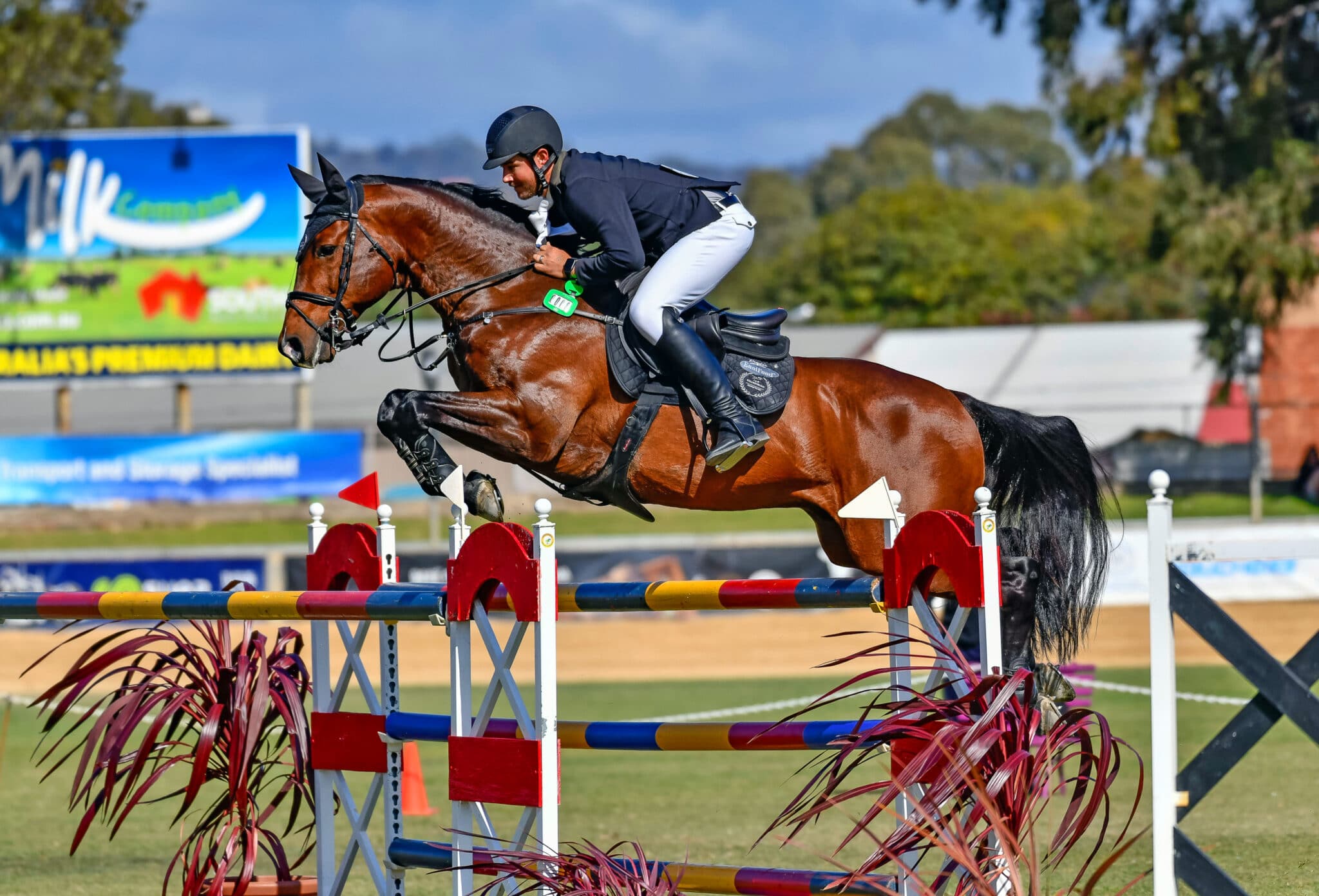 Set in stone with Rhys Stones - Equestrian Hub