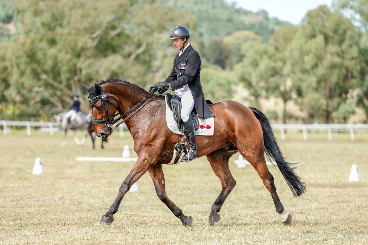 Sam Lyle - The Coaching Way Of Life - Equestrian Hub