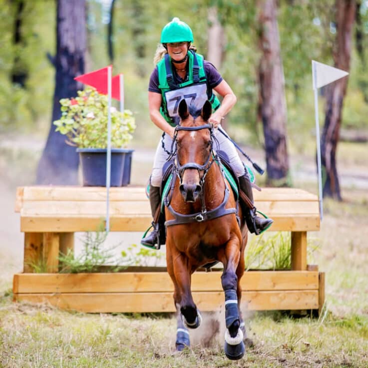 Life After Racing: Beyond Racing - Equestrian Hub