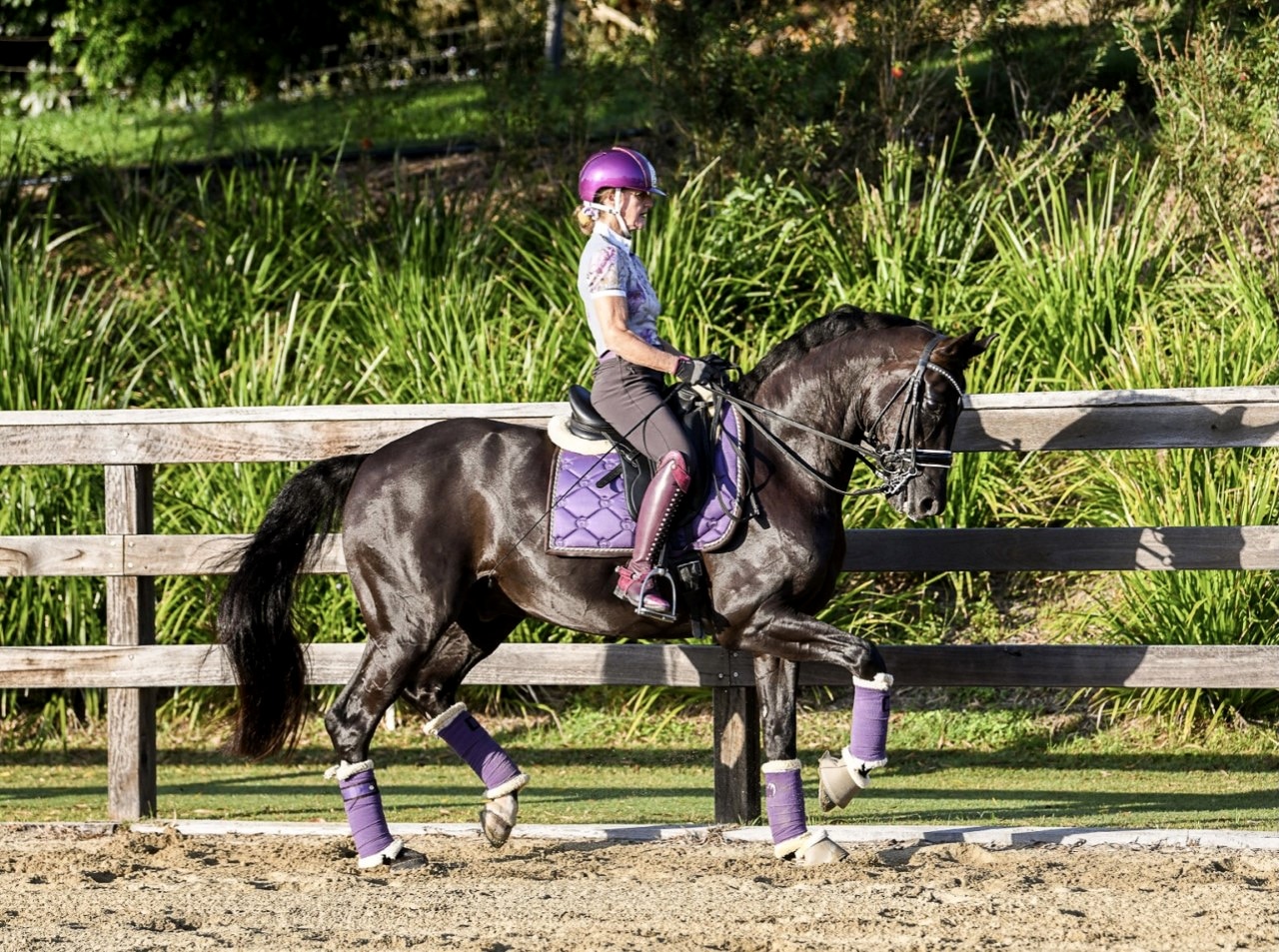 Unpacking Impulsion with Nicole Tough - Equestrian Hub