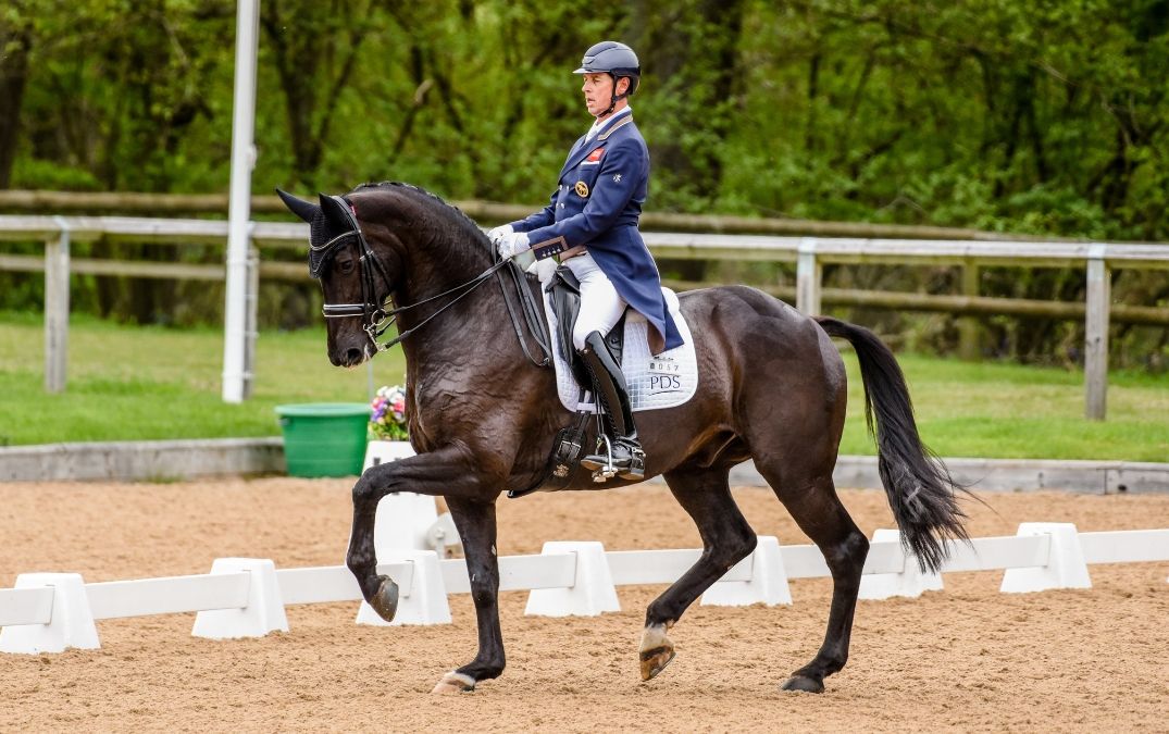 With Ridely, you can learn from dressage star Carl Hester.