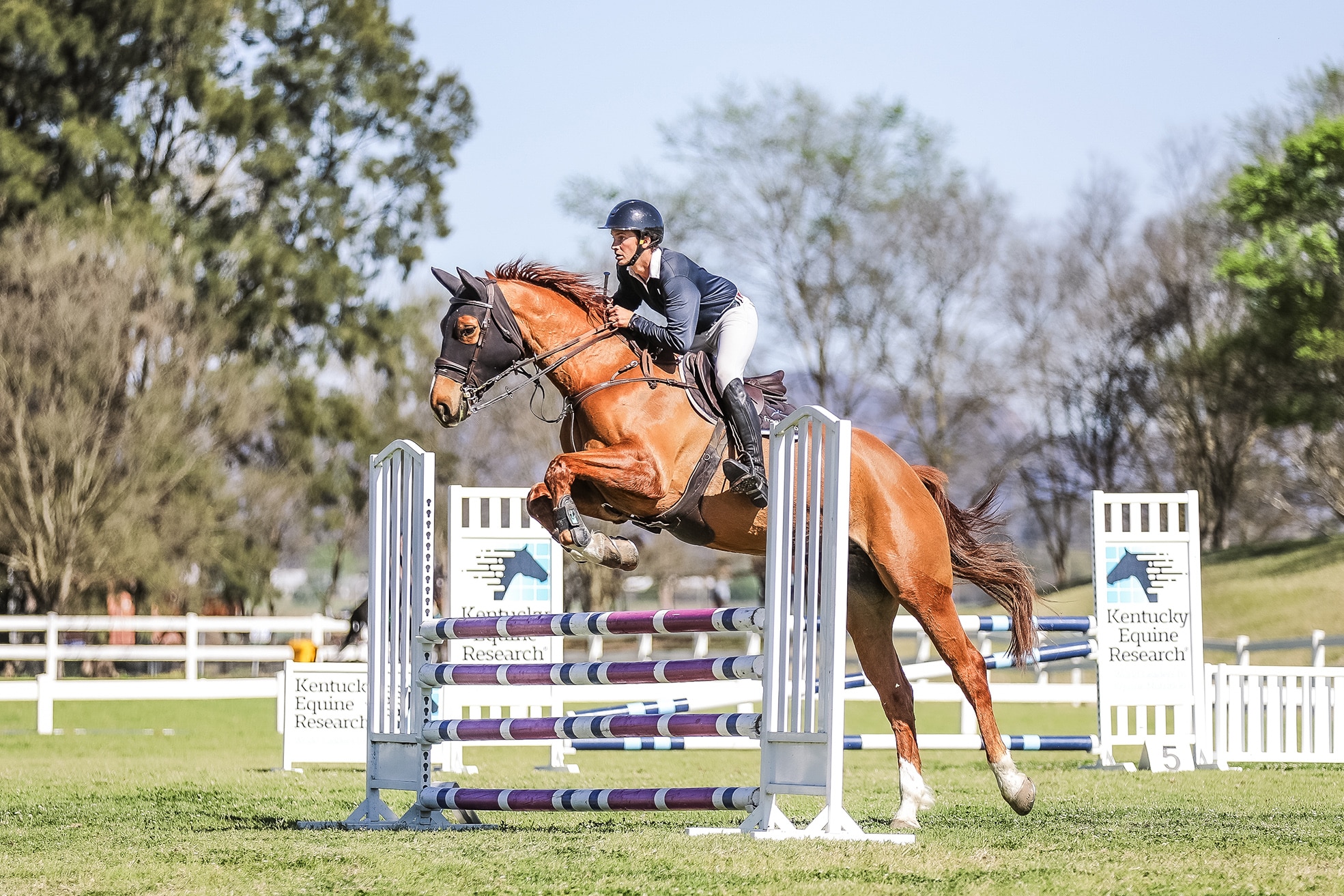 Charlie developing a very promising partnership with his 5-y-o mare Bonita (Image by GeoSnapShot).