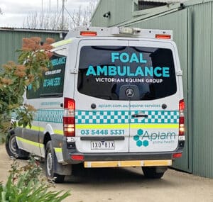 One of a kind - the Bendigo Equine Hospital's innovative foal ambulance.