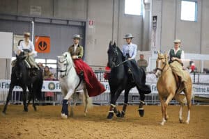 Side saddle at Fieracavalli in Verona, Italy (Image by Tania Huppatz).