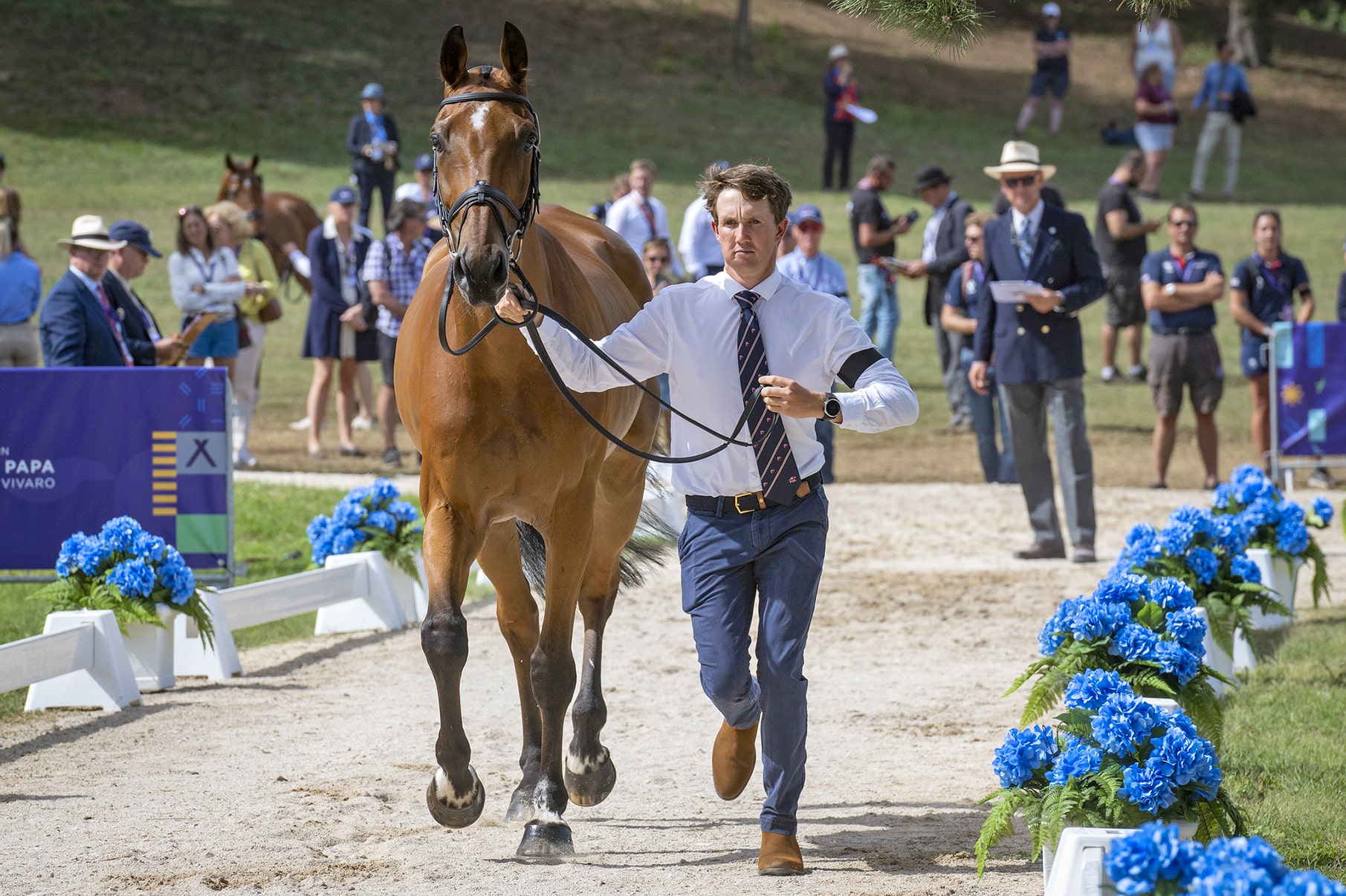 To ensure the health and safety of equine athletes, horses are trotted up and scratched or eliminated from competition if they show signs of lameness (Image courtesy FEI/Richard Juilliart).