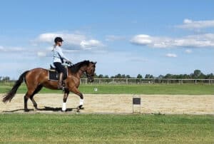 A professional ELD 60x20 dressage arena is just one of the property's equestrian features.