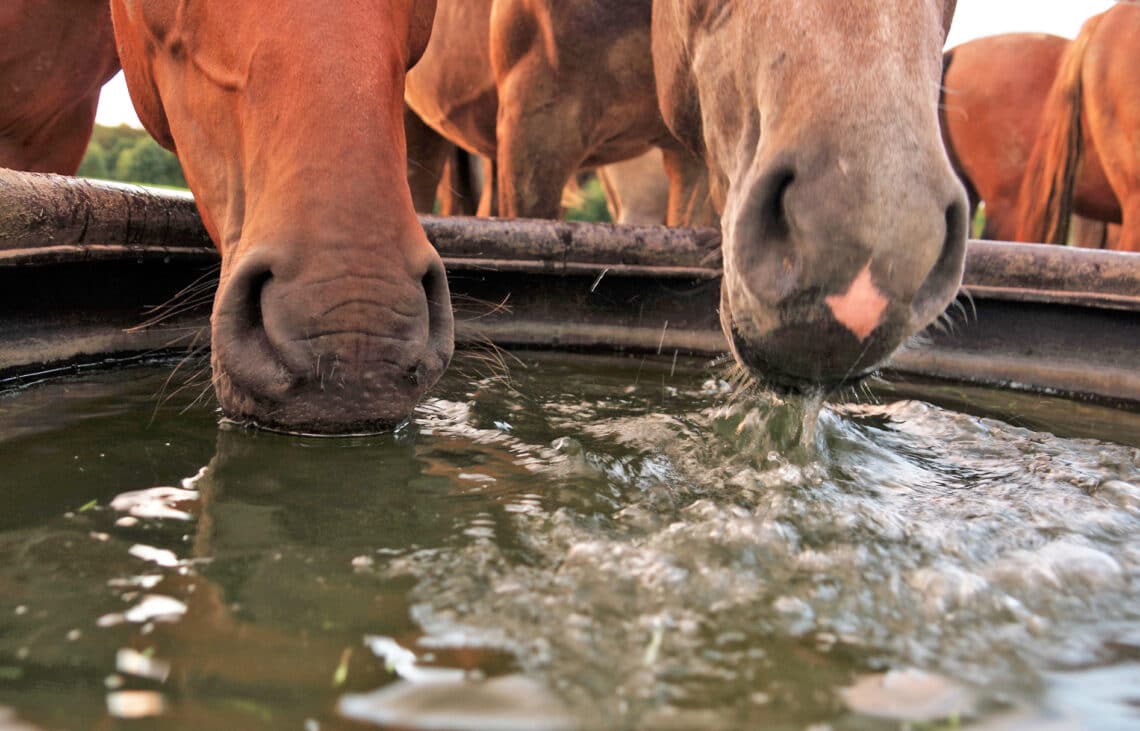 All year round access to a plentiful supply of clean water is fundamental to your horse's wellbeing.