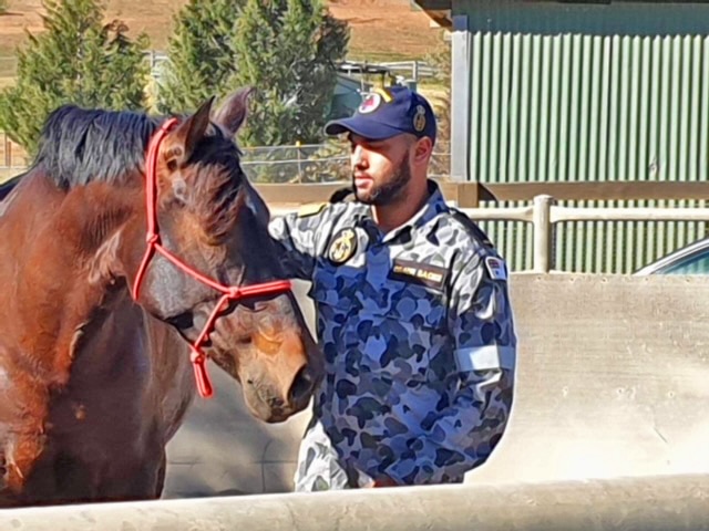Scott and his team have helped in the vicinity of 300 veterans, and many hundreds of off the track racehorses.