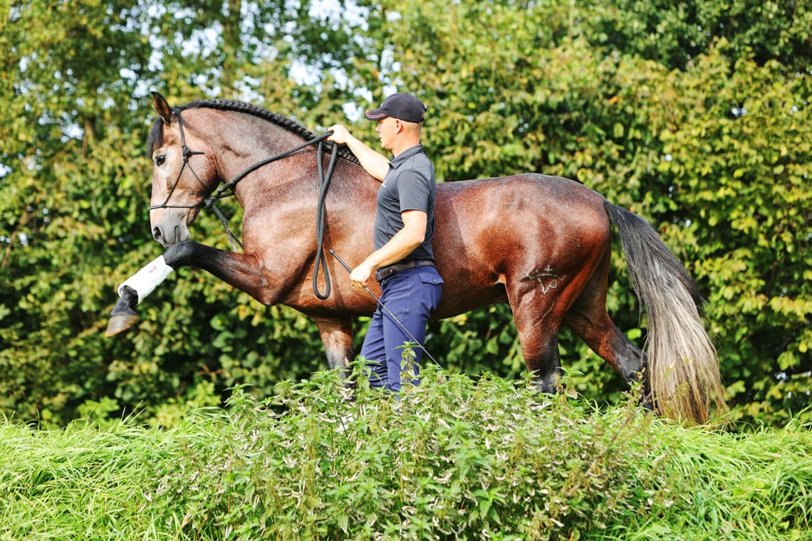 Tristan Tucker and the art of Zen - Equestrian Hub