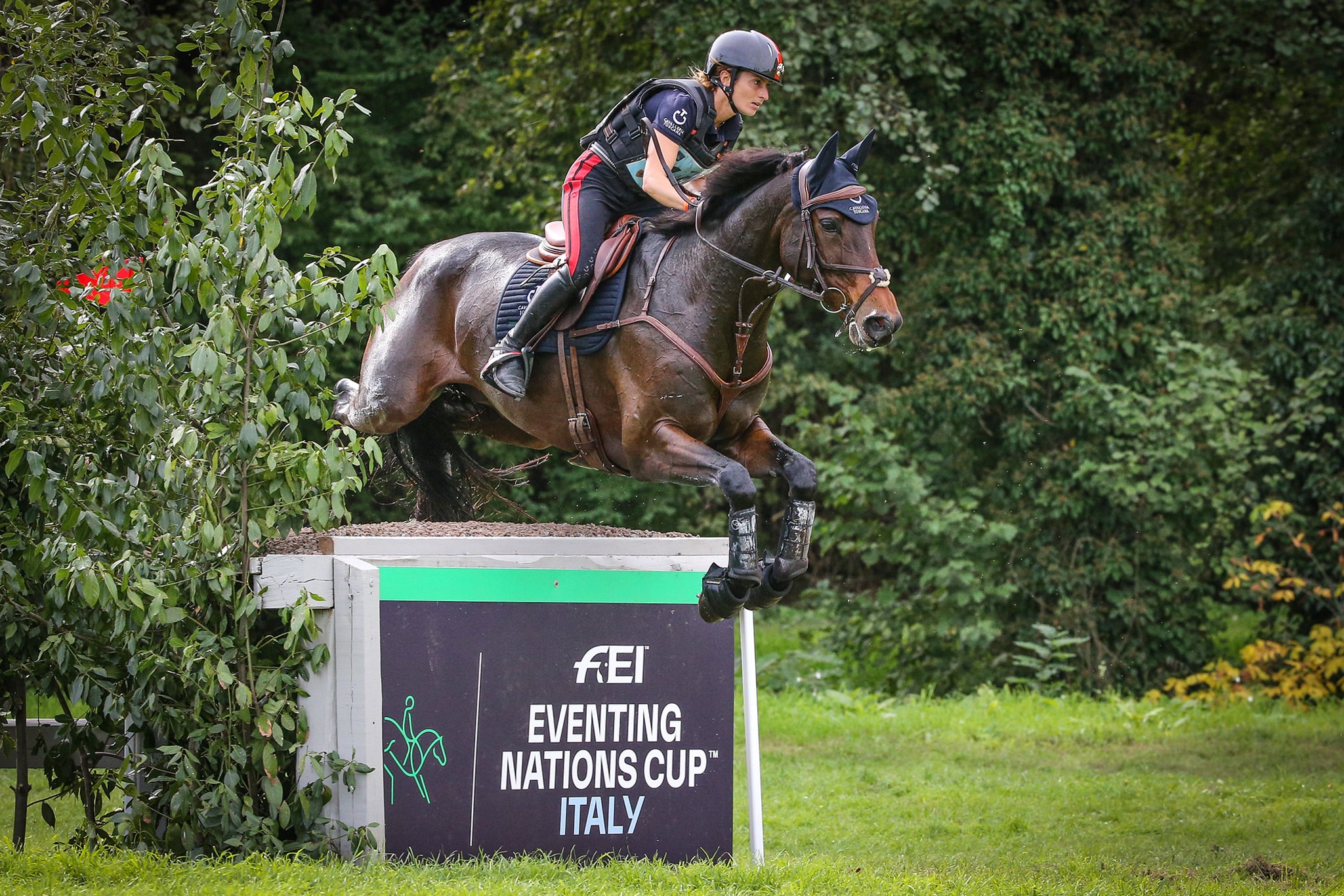 Italy’s Arianna Schivo riding Quefira de L'Ormeau at the 2020 FEI Eventing Nations Cup (Image © FEI/Massimo Argenziano)