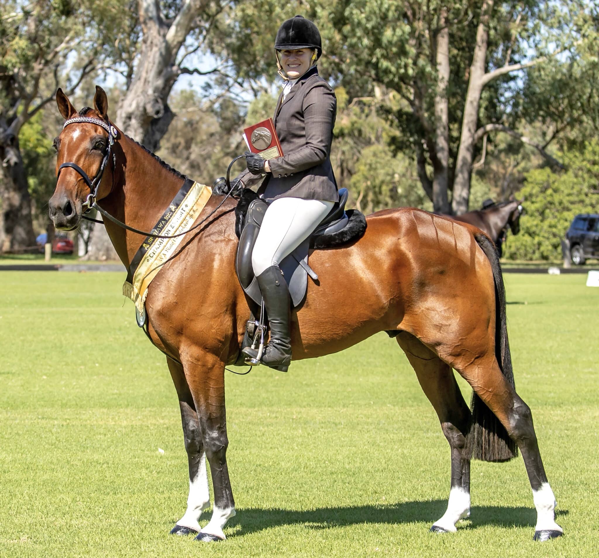 State Champion Intermediate Hack at the 2021 SPPHAWA Standardbred State Championships (Image by Vickiphotos).