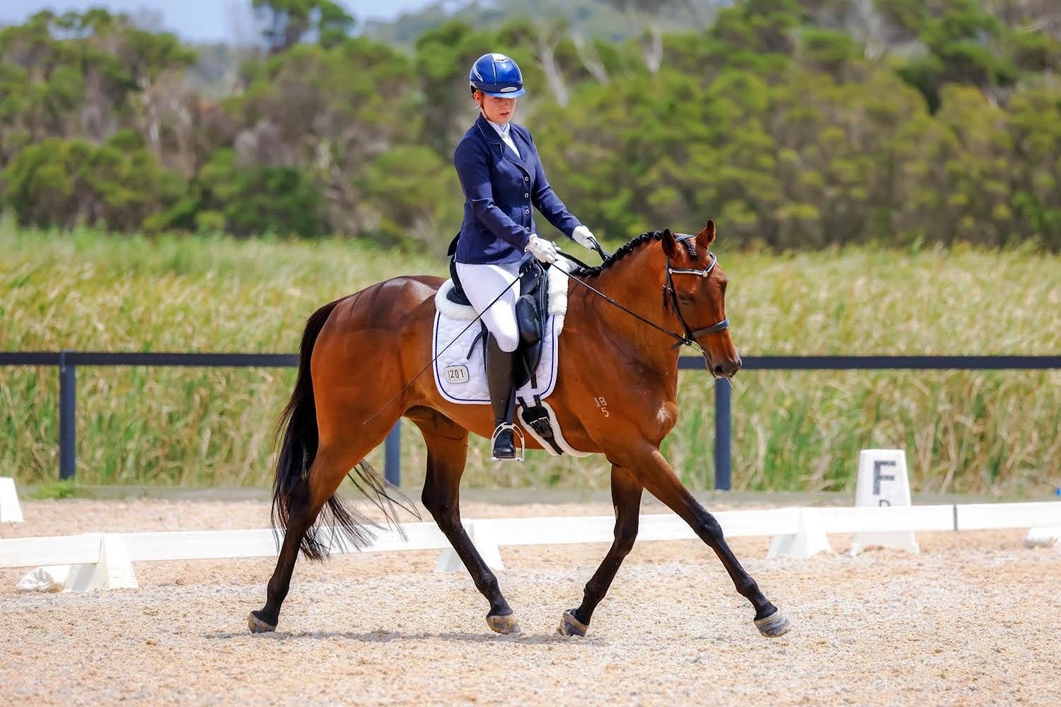 At the 2023 Home & Acreage Summer Dressage Championships (Image by James Abernethy Photography).
