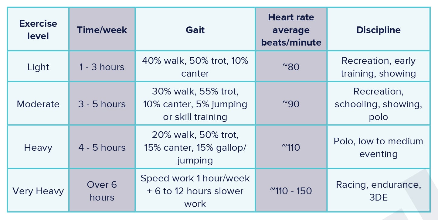 Exercise levels, time, gait, heart rate and discipline ( ~ means approximately).