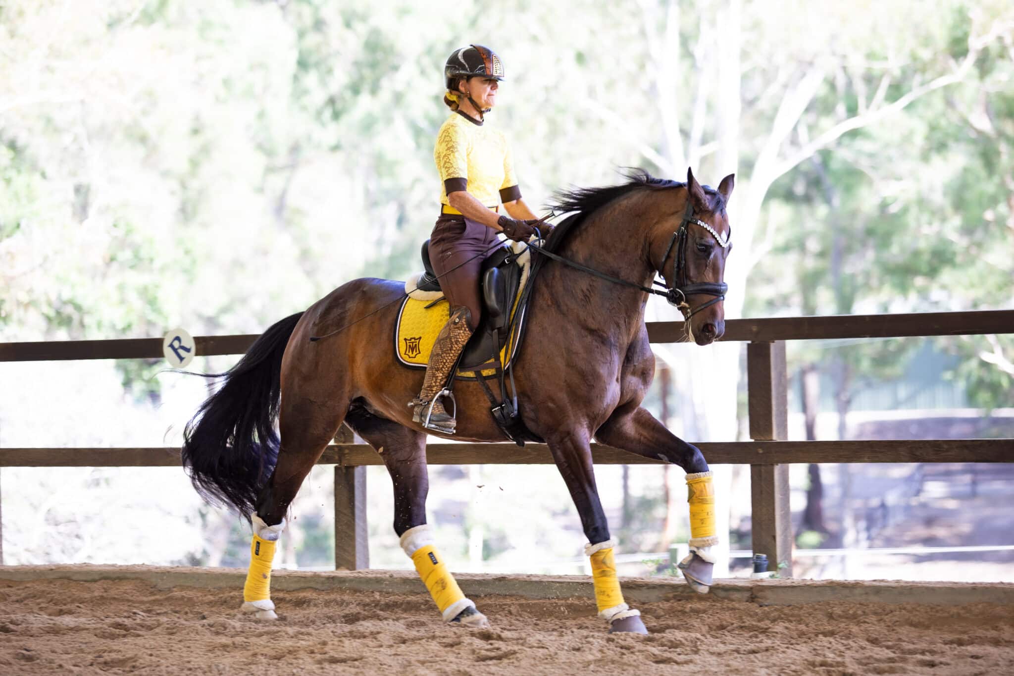 5-y-o Everdeen improving her canter with counter canter.