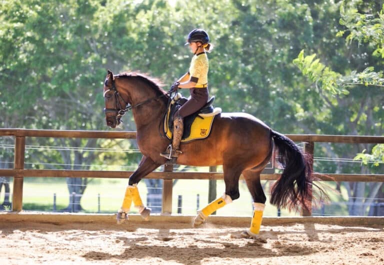 In collection, there is more bending of the hindlegs during the phase of weight bearing and this provides propulsion (Image on left by Christy Baker Photography, on right by EK Photography).