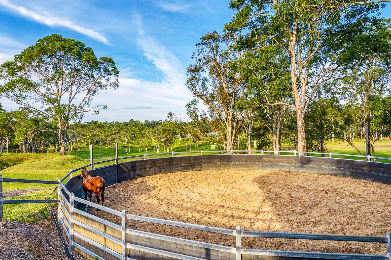 Located amid beautiful scenery, the large round yard has a sand base and galvanised rails.