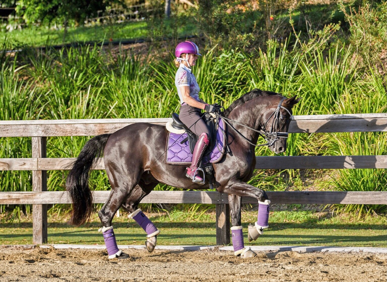 In collection, there is more bending of the hindlegs during the phase of weight bearing and this provides propulsion (Image on left by Christy Baker Photography, on right by EK Photography).