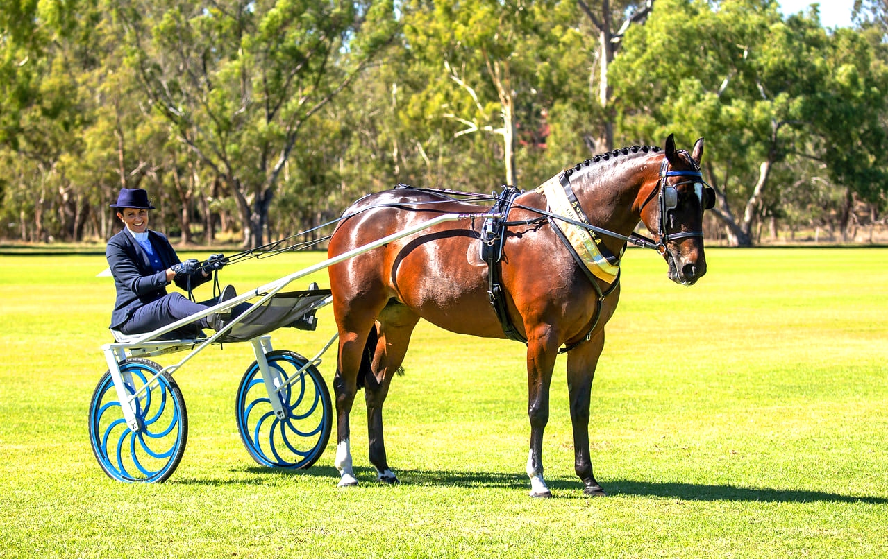 Winning Champion Race Cart at the 2021 State Championships (Image by Vickiphotos).