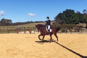 Timmy Almighty took a long time to understand flying changes. But patience, and the occasional day when giving up was the only option, paid off when Annabelle Warren and Timmy won Medium Tour Freestyle Champion at Willinga Park.