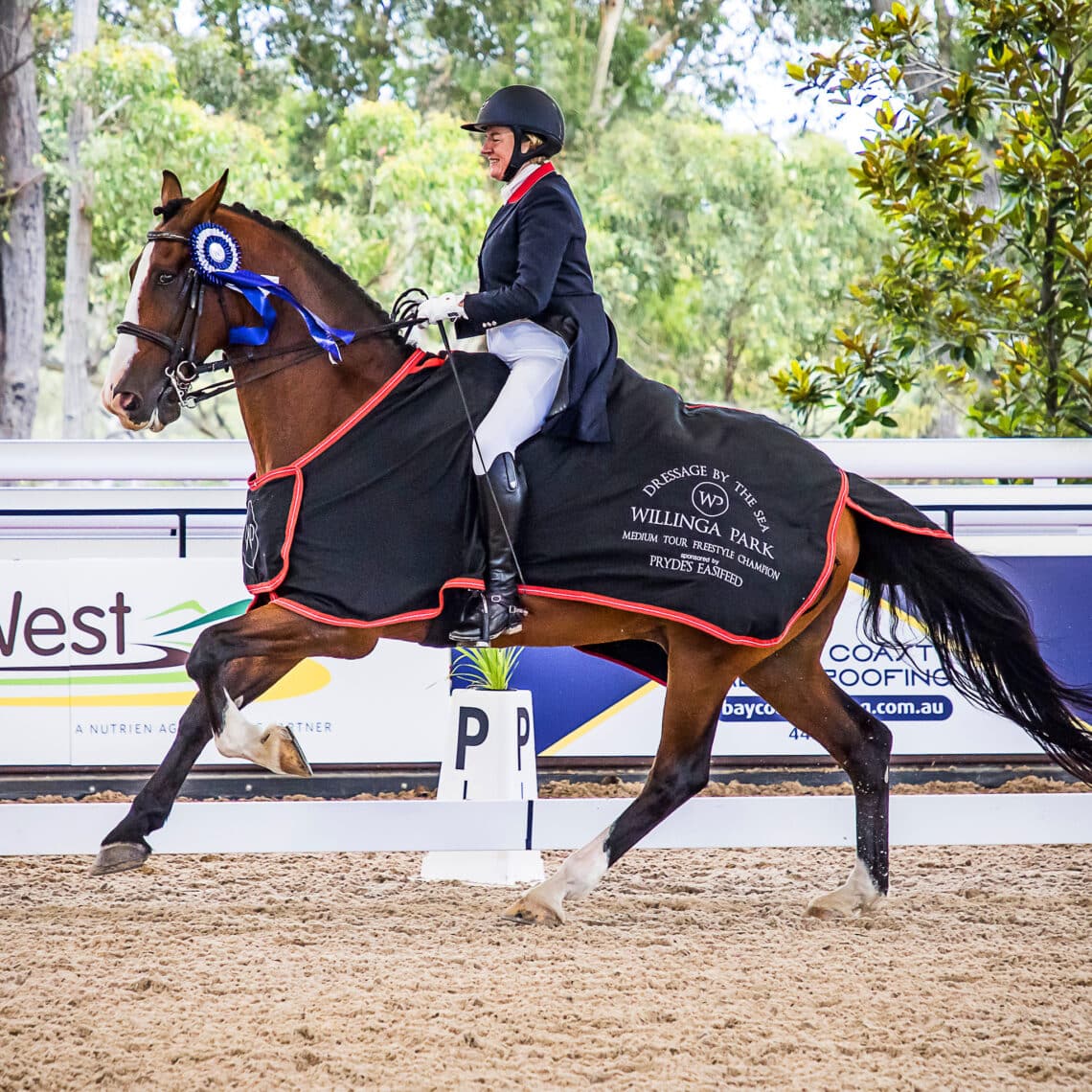 Timmy Almighty took a long time to understand flying changes. But patience, and the occasional day when giving up was the only option, paid off when Annabelle Warren and Timmy won Medium Tour Freestyle Champion at Willinga Park.