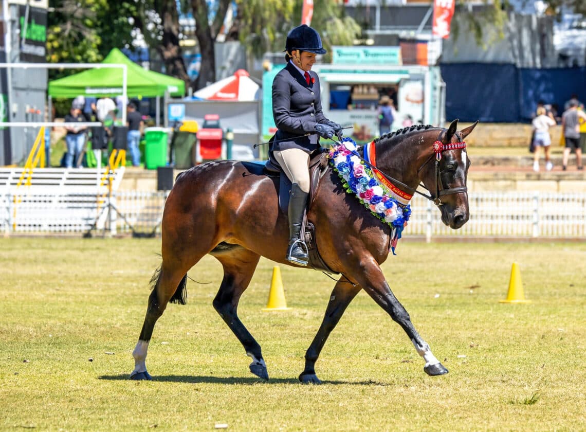 Kristie and Aspasia, the 2022 Perth Royal Show Champion Ridden Standardbred (Image by Vickiphotos).