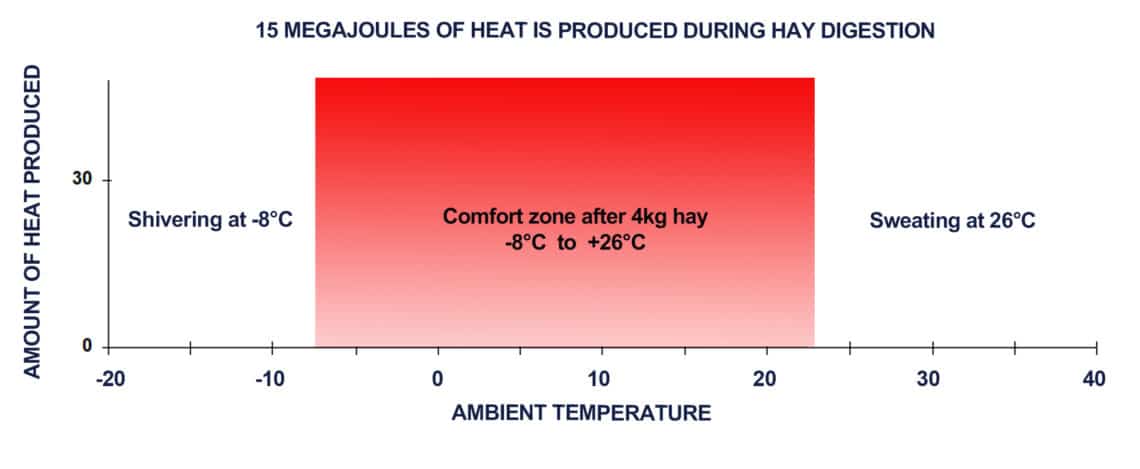 The thermoneutral zone (TNZ) for humans is between 26°C and 33°C; for horses it is between 5°C and 25°C. This means horses don’t begin to feel cold until the air temperature is less than 5°C. Feeding roughage increases heat production and metabolism by up to 10 to 20 per cent, and can reduce the need for rugging in Australia.