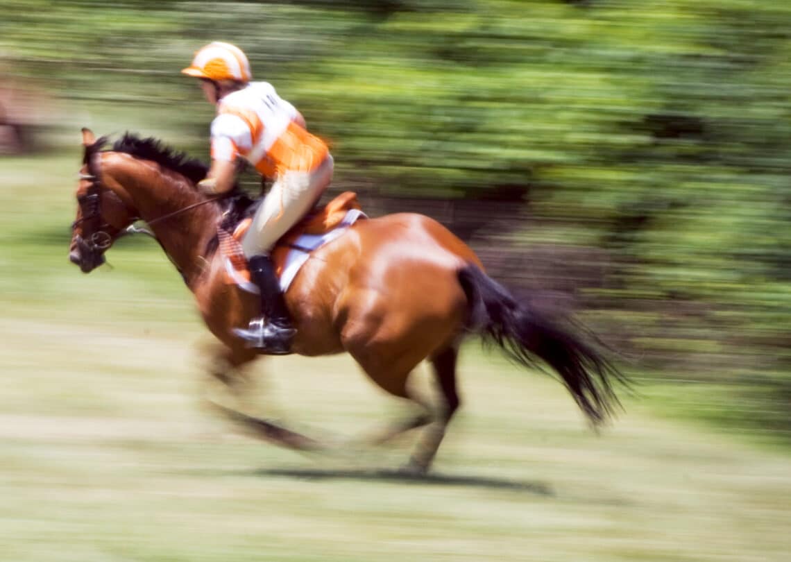 Muscle glycogen stores can be important for performance horses who may need sudden bursts of energy.