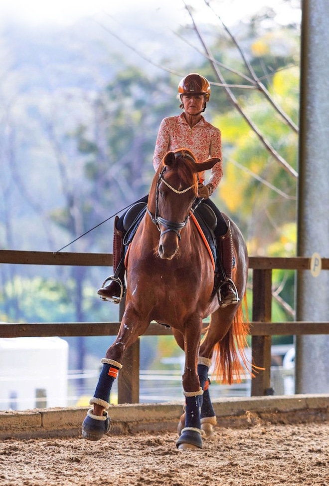 Shoulder-in helps the horse develop suppleness and engagement (Image by Christie Baker).