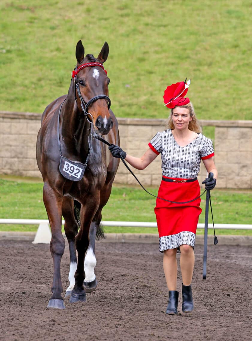 With Melman in the Equimillion New Star Led class. Image by: Rodney’s Photography