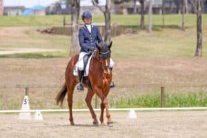 Hazel Shannon and Just A Nickel AMC came 1st in the Preliminary New Star dressage. Images by Rodney’s Photography