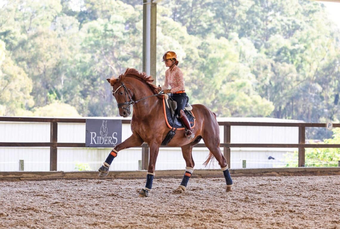 Always practise the flying change in the same place. Only when the horse has understood the exercise should you attempt it anywhere else (Image by Emily Kaup).