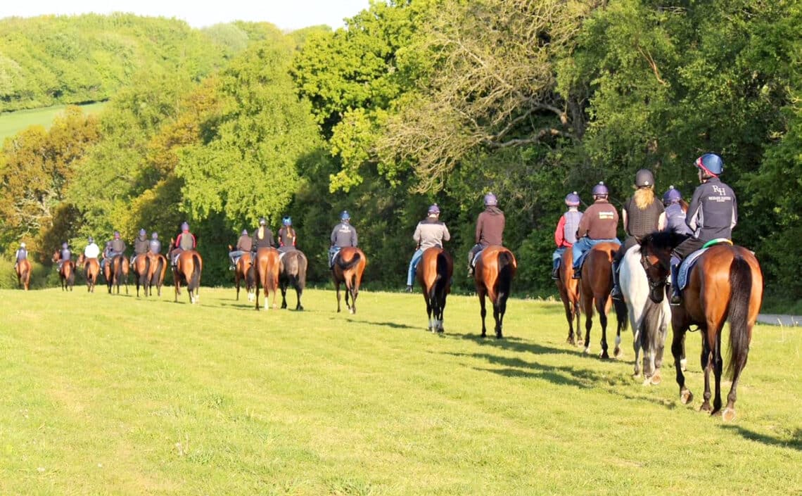 Count nine riders from the right and that's Alicia aboard the then 3-y-o Corncrake in 2019 (Image courtesy Alicia Frankenburg).